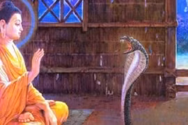 Luôn bàn luận khuyết điểm người khác khiến bạn tự hủy vận mệnh của mình 