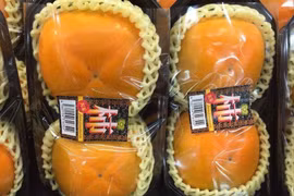 Hồng Nhật đón “chị Hằng” gần nửa triệu/quả vẫn "cháy"