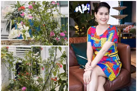 Cận cảnh biệt thự ngập sắc xuân đón Tết của Thân Thúy Hà