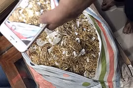 Cách trộm 455 lượng vàng dễ không ngờ suốt 6 năm đằng đẵng