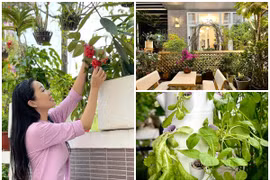 Toàn cảnh biệt thự 10 tỷ của Trịnh Kim Chi và chồng đại gia 