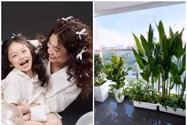 Hé lộ cơ ngơi to đồ sộ trong khu nhà giàu của Pha Lê