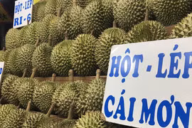 Giá sầu riêng tăng mạnh nhất ở Tiền Giang, đắt gấp ba lần năm trước