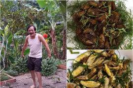 “Đại gia 10.000 m2 đất” Giang Còi khoe 2 món đặc sản