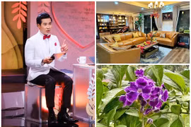 Bên trong căn hộ 5 tỷ rực rỡ sắc màu của MC Nguyên Khang 