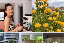 “Mỏi mắt” ngắm hoa nở rực rỡ trong vườn nhà Dương Mỹ Linh 