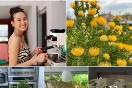 “Mỏi mắt” ngắm hoa nở rực rỡ trong vườn nhà Dương Mỹ Linh 