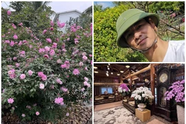 Có gì trong nhà vườn đẹp như resort của NSND Xuân Bắc?