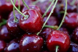 Quả hàng hiệu cherry giảm sốc: Chị em ăn đồ xịn hay món Trung Quốc nhái?