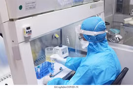 Ngày 7/5, số ca mắc mới COVID-19 giảm mạnh