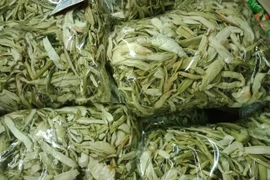 Bất ngờ loại rau xưa cho lợn ăn thành đặc sản 300.000 đồng/kg
