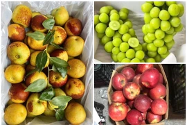 3 loại trái cây Trung Quốc đang “làm mưa làm gió” thị trường Việt 