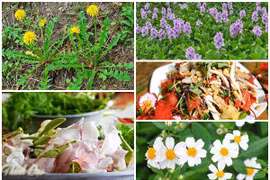 Bất ngờ 5 loại hoa ăn được ở Việt Nam, giá vỏn vẹn 0 đồng