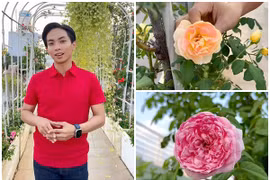 Vườn hồng ngoại “bung nở hết cỡ” trong nhà Khánh Thi - Phan Hiển 
