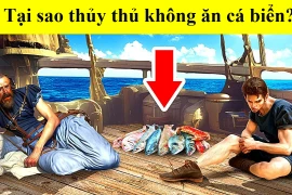 Tại sao thủy thủ xưa có chết đói cũng không ăn cá bắt được dưới biển? 