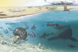 Phát hiện mới về rồng biển khổng lồ từ 205 triệu năm trước