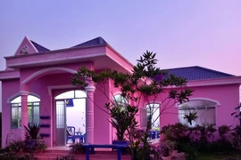 Ông lão U80 có căn nhà như mơ giữa vườn hoa rực sắc tím