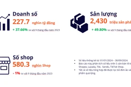 Người Việt chi 9,5 tỷ đô mua sắm thương mại điện tử 