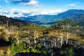 Lâm Đồng công nhận Điểm du lịch “Vườn Quốc gia Bidoup - Núi Bà” 