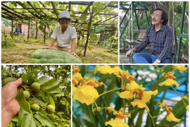 Nhà vườn 10.000m2 của cố nghệ sĩ Giang Còi hiện ra sao?