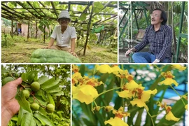 Nhà vườn 10.000m2 của cố nghệ sĩ Giang Còi hiện ra sao?