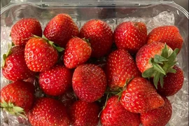 Dâu tây Mộc Châu “nhuộm đỏ” chợ mạng, cách nào phân biệt dâu Trung Quốc?