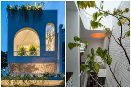 Nhà phố “gói cả thiên nhiên” đẹp mê mẩn giữa Sài thành 