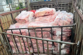 Gom 580kg mỡ lợn, nam thanh niên cấp đông, đóng gói bán kiếm lời
