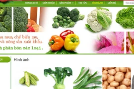 “Soi” hồ sơ Nông sản Trình Nhi bị nghi cung cấp rau sạch “dỏm”