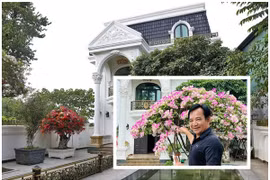 Cận cảnh nhà vườn 1.000m2 như “lâu đài” của nghệ sĩ Quang Tèo 