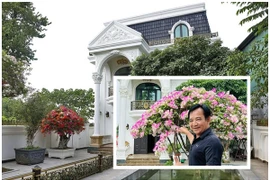 Cận cảnh nhà vườn 1.000m2 như “lâu đài” của nghệ sĩ Quang Tèo 