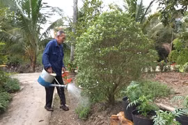 Hi hữu cụ ông sáng mắt, hết câm sau 20 năm bất hạnh