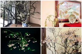 Cành cây lạ xưa bỏ đi, nay thành hàng hiếm... giá chát 