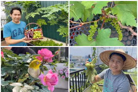 Ngắm sân thượng mướt mát rau trái của ca sĩ Trọng Tấn