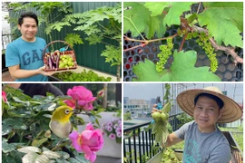 Ngắm sân thượng mướt mát rau trái của ca sĩ Trọng Tấn