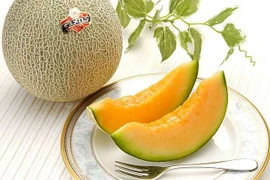 Sửng sốt dưa lưới Yubari Nhật Bản giá trên trời, hơn nửa tỷ đồng/cặp