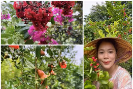 Mê mẩn khu vườn 10.000m2 hoa trái quanh năm của ca sĩ Mỹ Lệ 