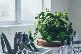 Phong thủy nhà bếp cần kiêng kị những gì?