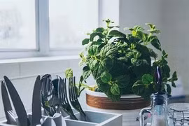 Phong thủy nhà bếp cần kiêng kị những gì?