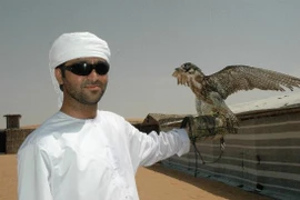 Loài chim “quý tộc” giá nửa tỷ/con khiến đại gia “si mê“