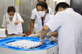 6 lọ thuốc giải độc botulinum đầu tiên đã về đến TP HCM