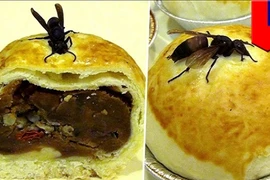 Loạt bánh trung thu siêu dị chỉ có ở Trung Quốc