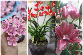 3 loại hoa độc lạ hút khách dịp Tết Tân Sửu 2021
