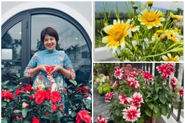 Bên trong khu vườn rực rỡ sắc hoa của MC Diễm Quỳnh
