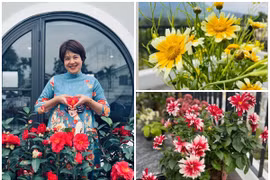 Bên trong khu vườn rực rỡ sắc hoa của MC Diễm Quỳnh