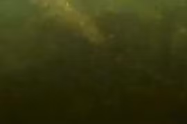 Nhảy xuống sông, về xem video thấy ớn lạnh vì tử thần nằm dưới nước