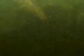 Nhảy xuống sông, về xem video thấy ớn lạnh vì tử thần nằm dưới nước