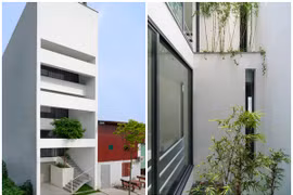 Ngỡ ngàng nhà phố mang cả thiên nhiên vào bên trong