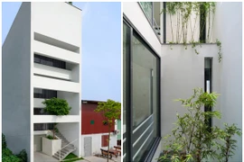 Ngỡ ngàng nhà phố mang cả thiên nhiên vào bên trong