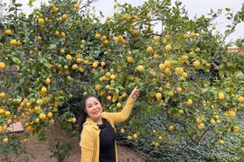 Toàn cảnh biệt phủ nghỉ dưỡng rộng thênh thang của NSND Hồng Vân 